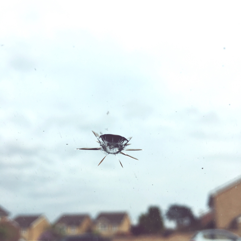 Emergency Glass Repair by Custom Glass LA